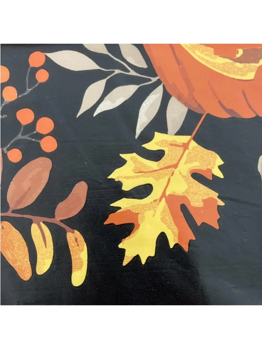 N/A pumpkins leaf